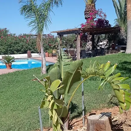 La Luciérnaga-2
